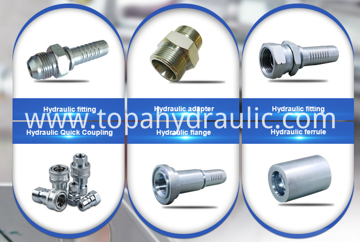 Hydraulic Fitting Kind Hydraulic Fitting Kind