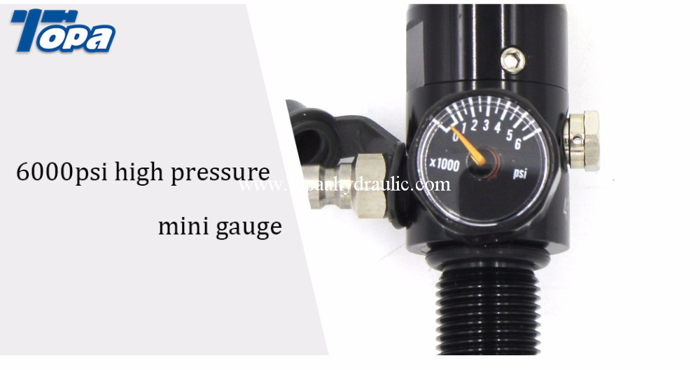 Medical oxygen paintball fuel pressure poultry water pressure regulator