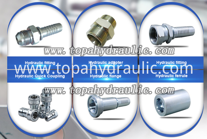 Hydraulic Hose End Fitting