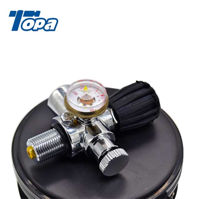 Co2 Tank Airgun Aluminum Pcp Gas Stainless Steel Air Tank Pressure Valve Featured Image